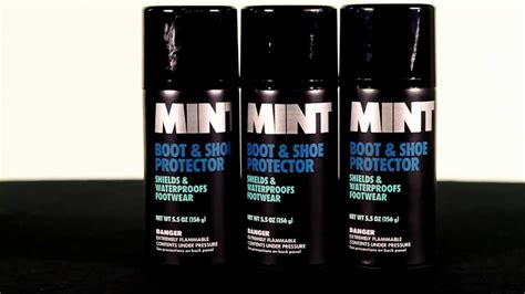 mint sneaker protector